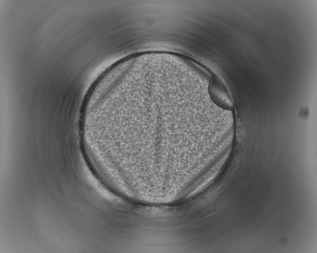 X0000112720995200909171100