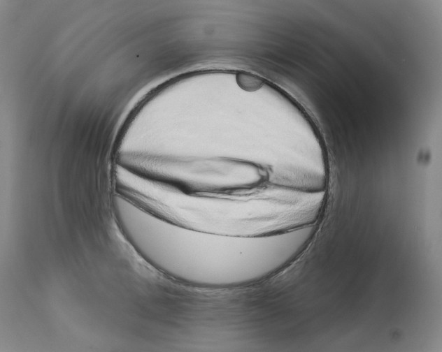 X0000112720996200909171100