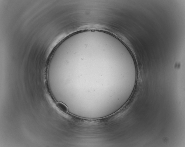 X0000112720997200909171100