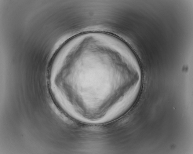 X0000112720998200909171100