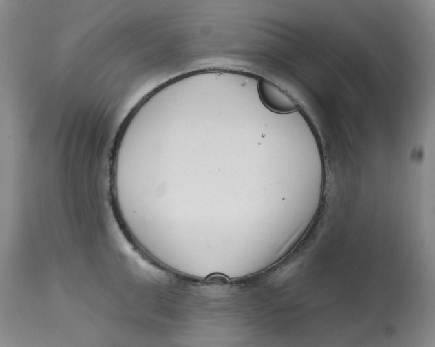 X0000112720999200909171100