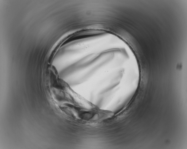 X0000112721000200909171100