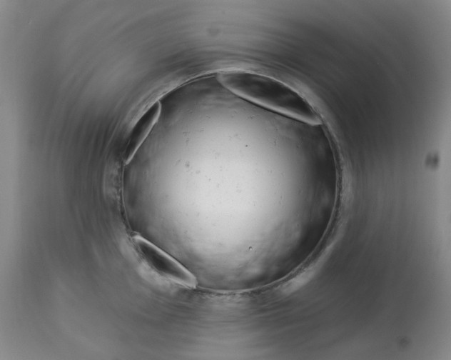 X0000112721001200909171100