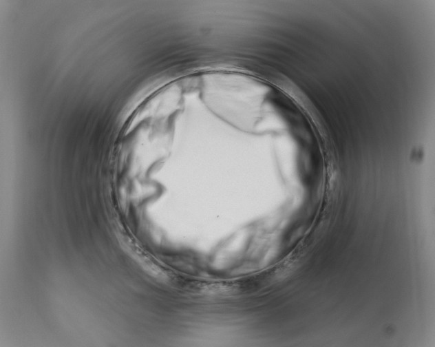 X0000112721002200909171100