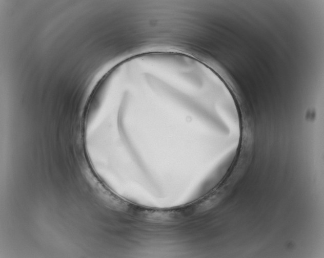 X0000112721004200909171100