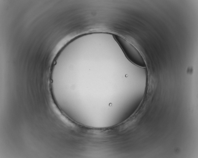 X0000112721005200909171100