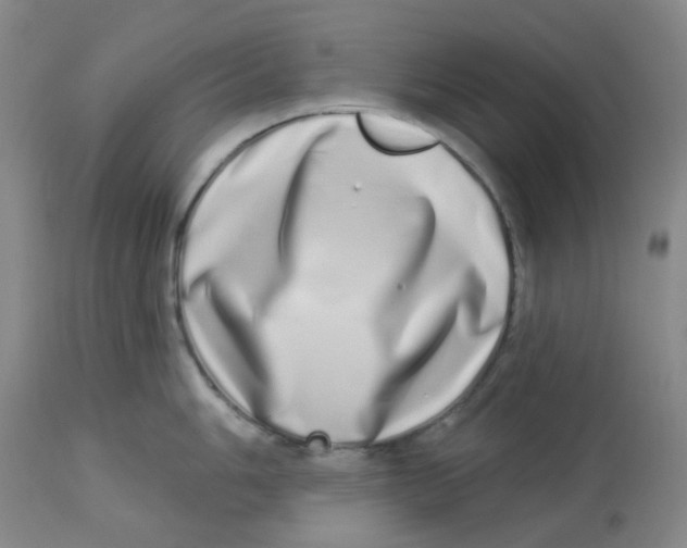 X0000112721006200909171100