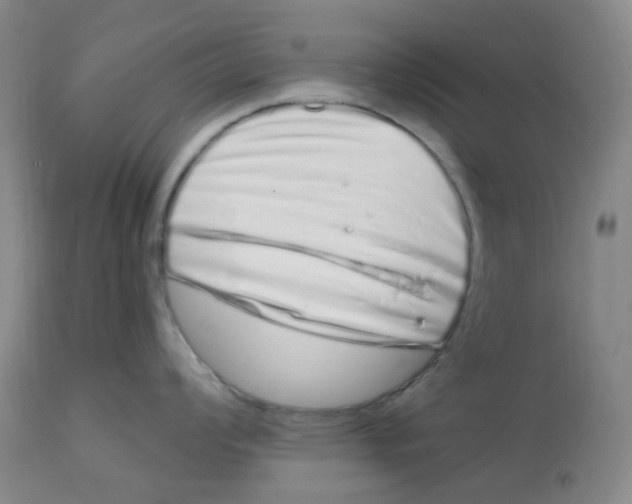 X0000112721008200909171100