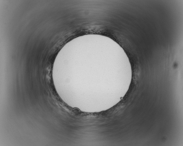 X0000112721010200909171059