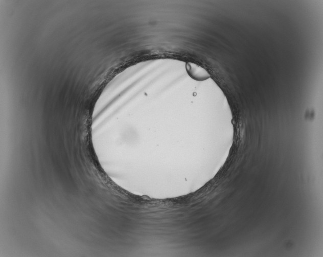 X0000112721012200909171059