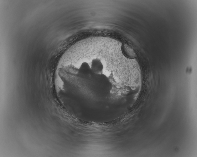 X0000112721013200909171059