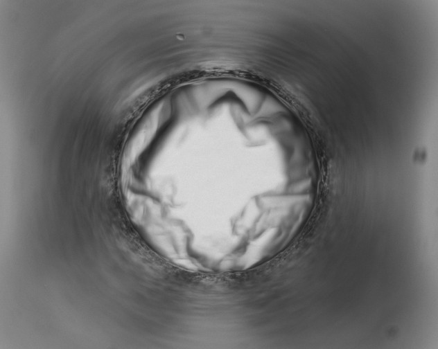 X0000112721015200909171059