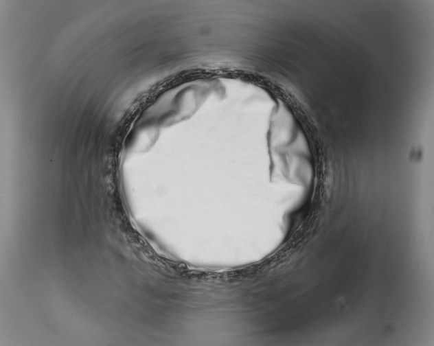 X0000112721016200909171059