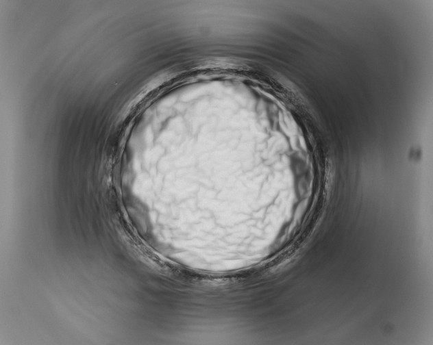 X0000112721017200909171059