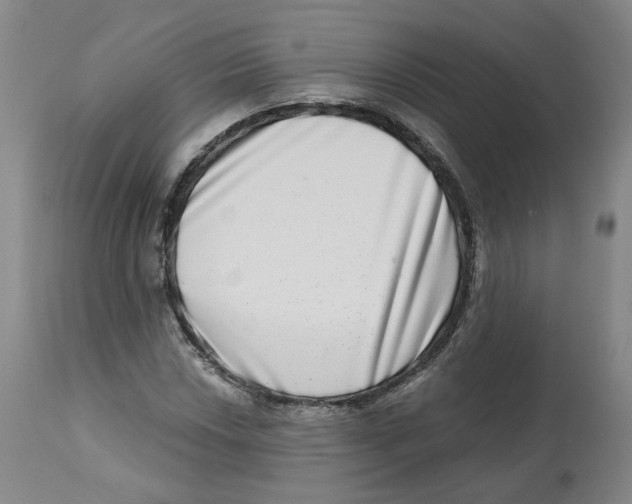 X0000112721018200909171059