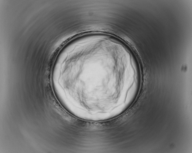 X0000112721019200909171059