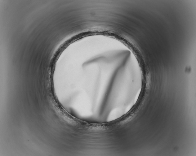 X0000112721021200909171059