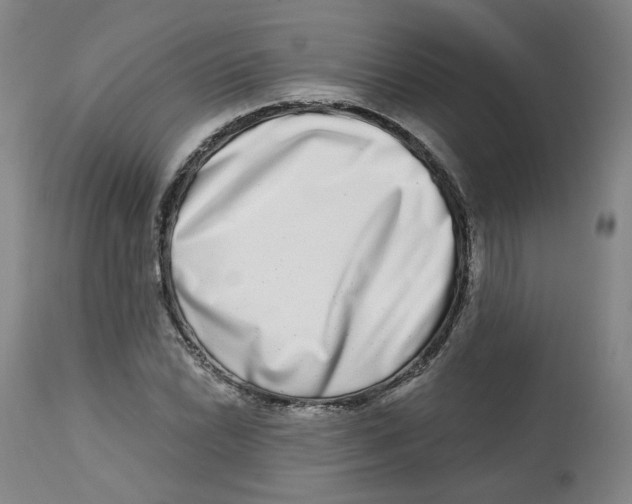 X0000112721022200909171059