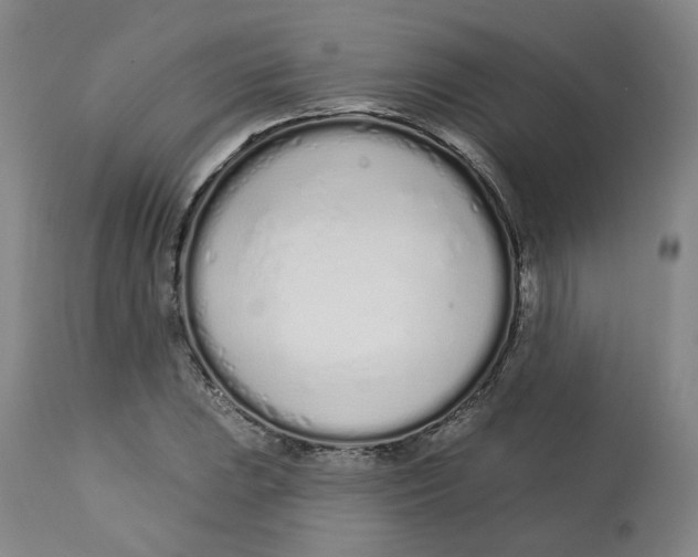 X0000112721023200909171059