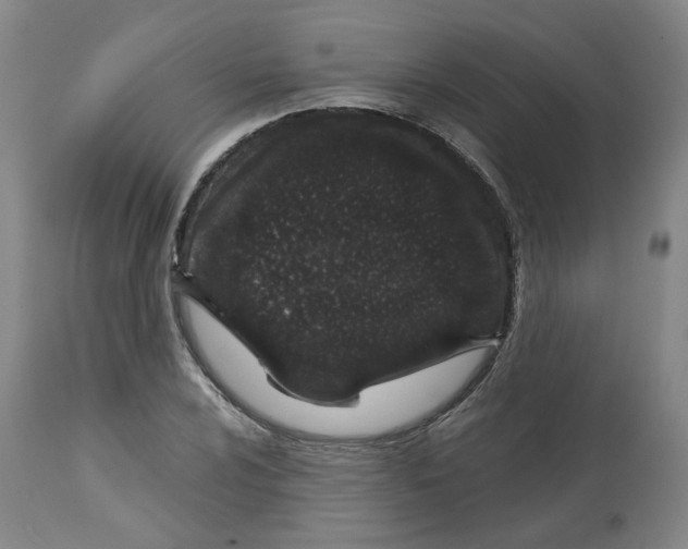 X0000112721024200909171059