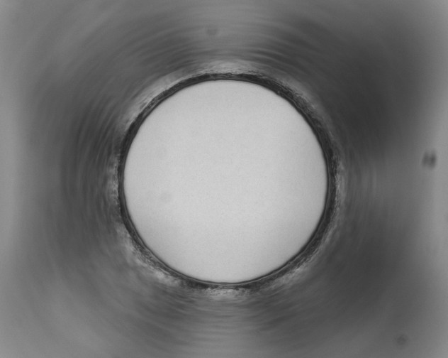 X0000112721025200909171059