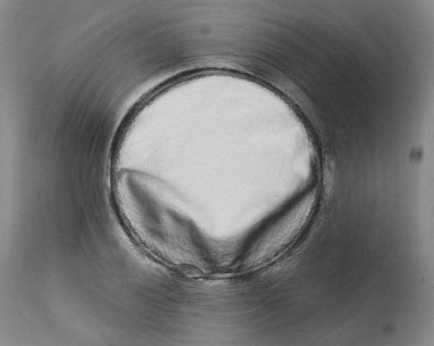 X0000112721028200909171059