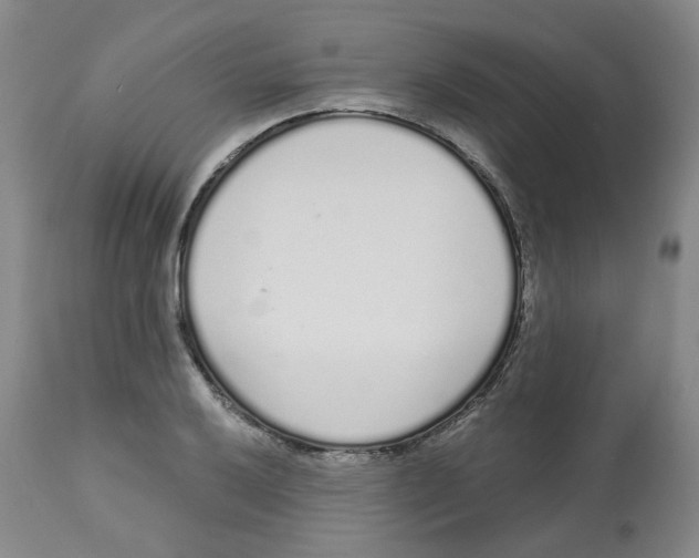 X0000112721032200909171059