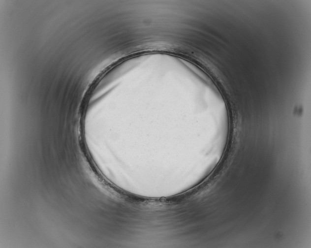 X0000112721034200909171100