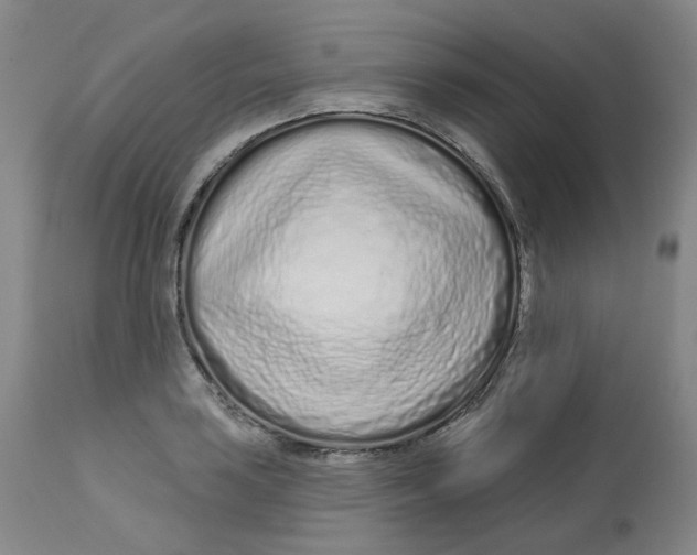 X0000112721035200909171100