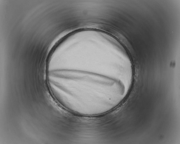 X0000112721036200909171100