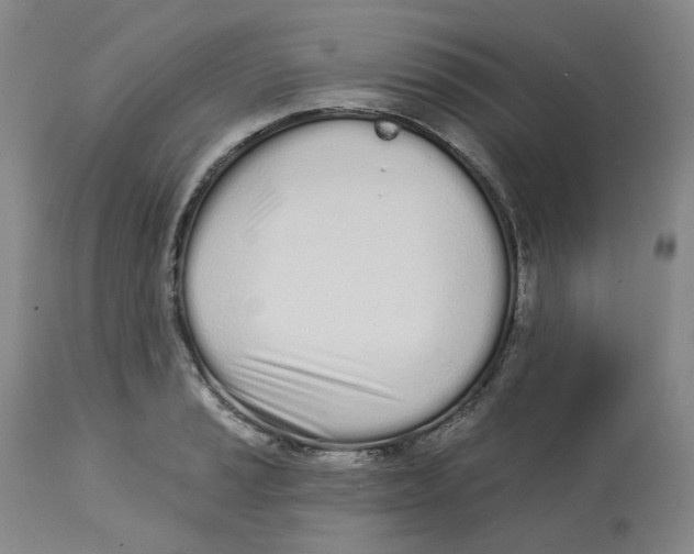 X0000112721037200909171100