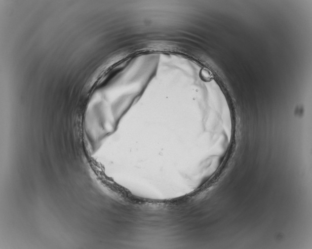 X0000112721041200909171100