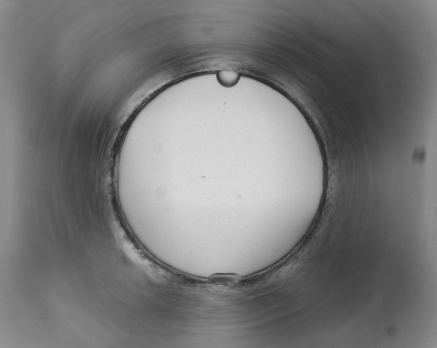 X0000112721042200909171100