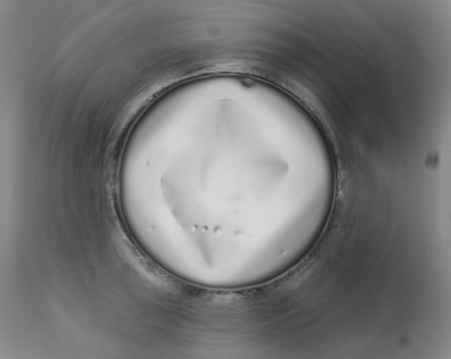 X0000112721043200909171100