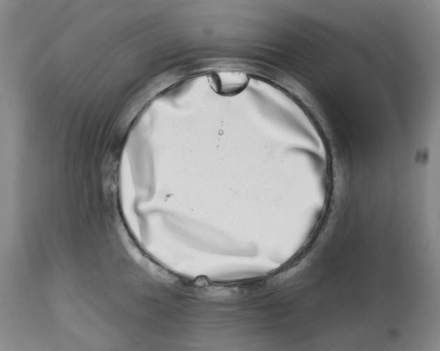 X0000112721049200909171100