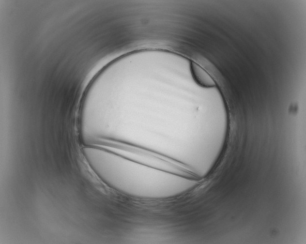 X0000112721052200909171100