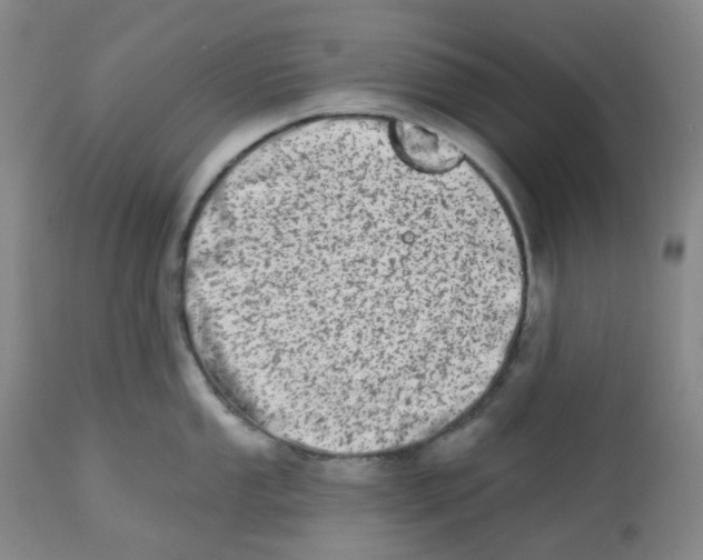 X0000112721053200909171100