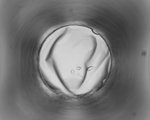 X0000112721054200909171100