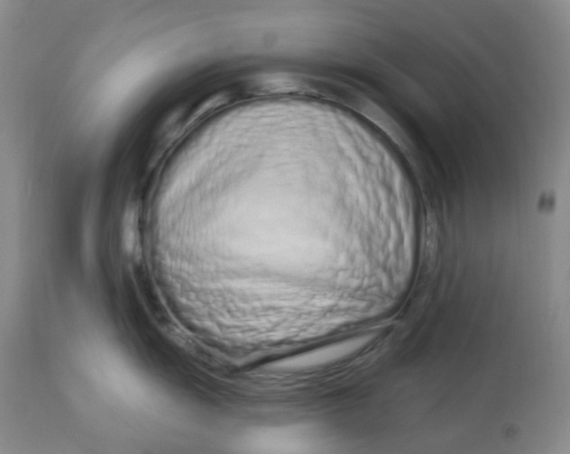 X0000112721055200909171100