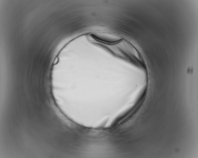 X0000112721056200909171100