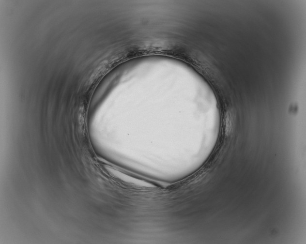 X0000112721059200909171059