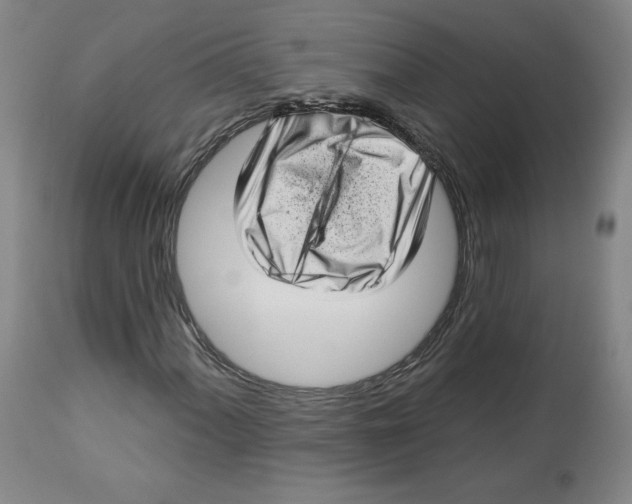 X0000112721060200909171059