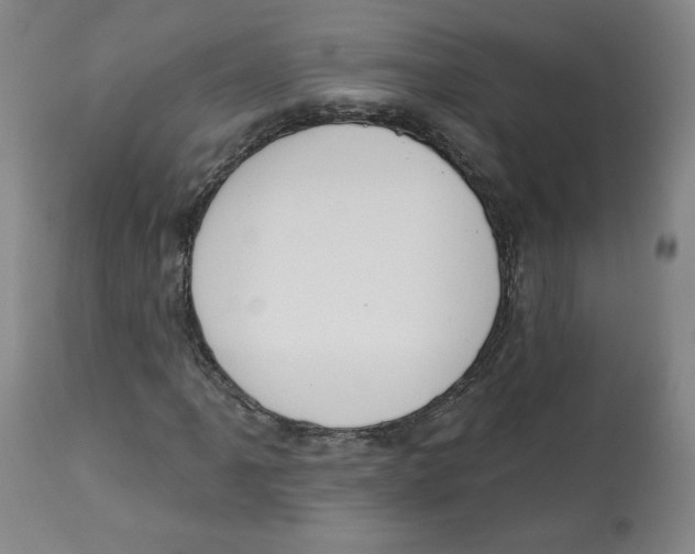 X0000112721061200909171059