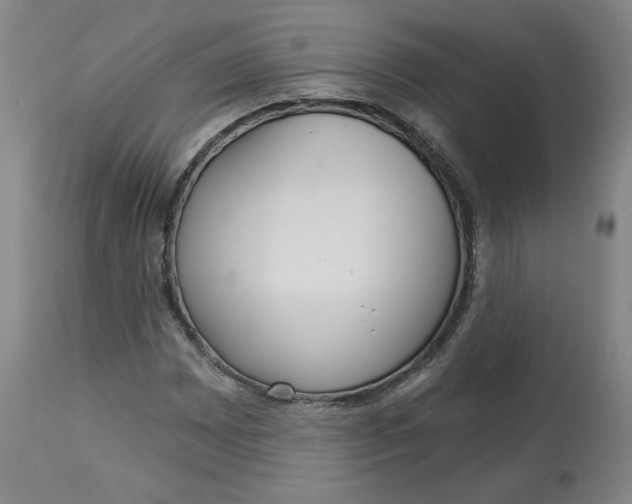 X0000112721065200909171059