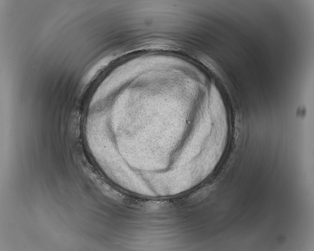 X0000112721067200909171059