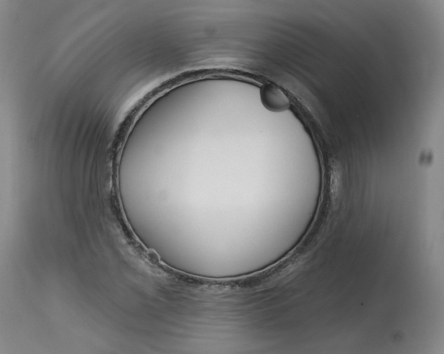 X0000112721069200909171059