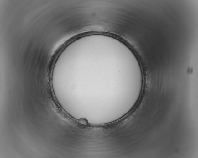 X0000112721070200909171059