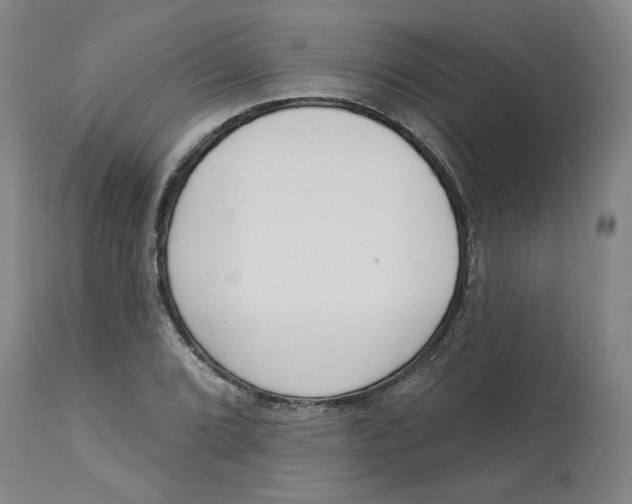 X0000112721072200909171059