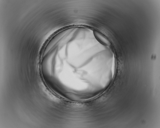 X0000112721076200909171059