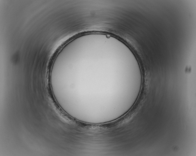 X0000112721077200909171059